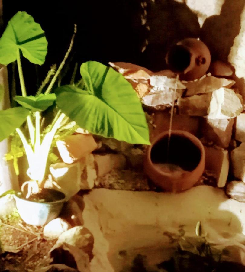Raiz Del Cielo, Entre 2 Jardines De Ensueno Apartment Cordoba Bagian luar foto