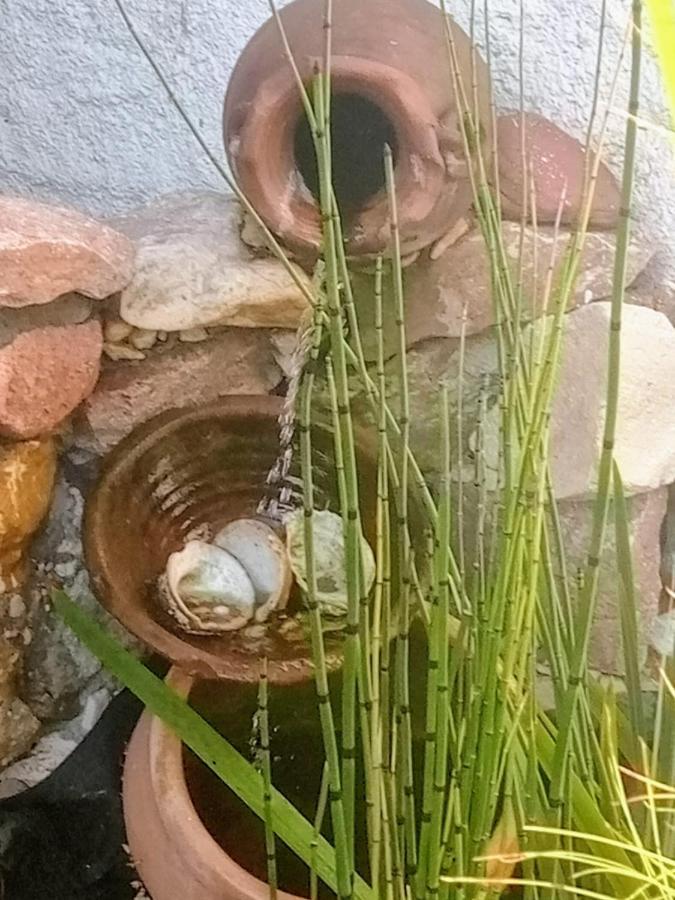 Raiz Del Cielo, Entre 2 Jardines De Ensueno Apartment Cordoba Bagian luar foto