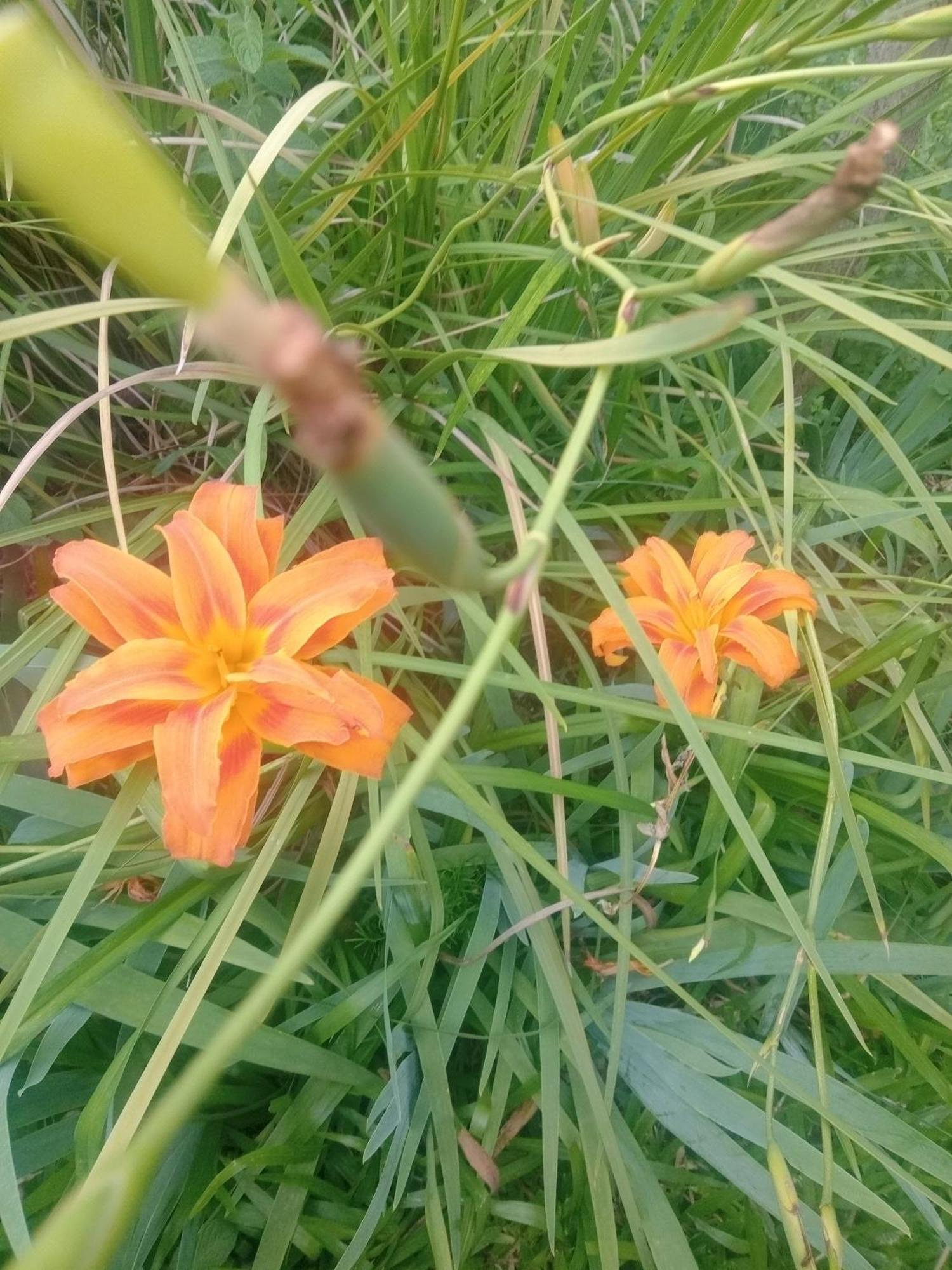 Raiz Del Cielo, Entre 2 Jardines De Ensueno Apartment Cordoba Bagian luar foto