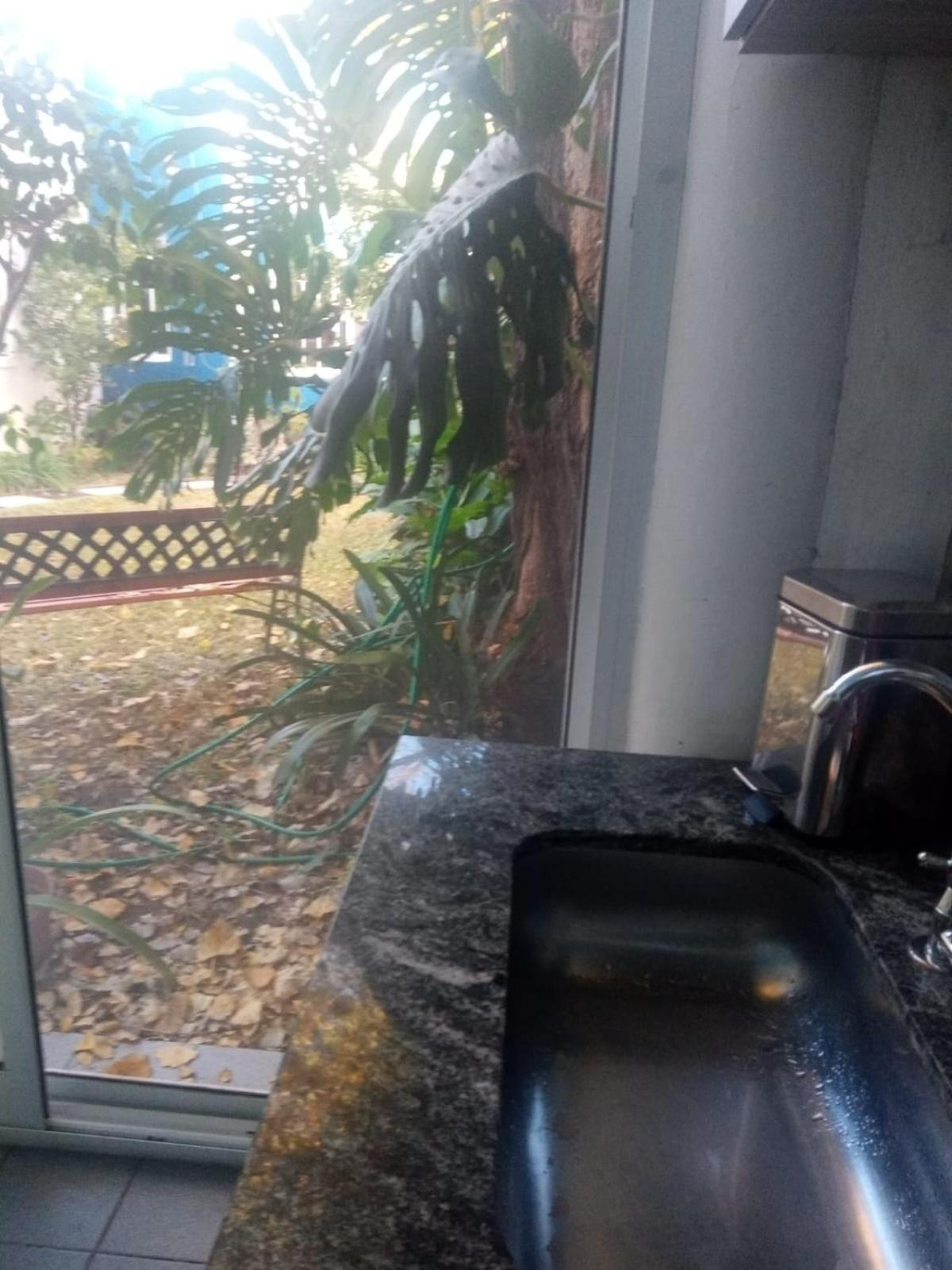 Raiz Del Cielo, Entre 2 Jardines De Ensueno Apartment Cordoba Bagian luar foto