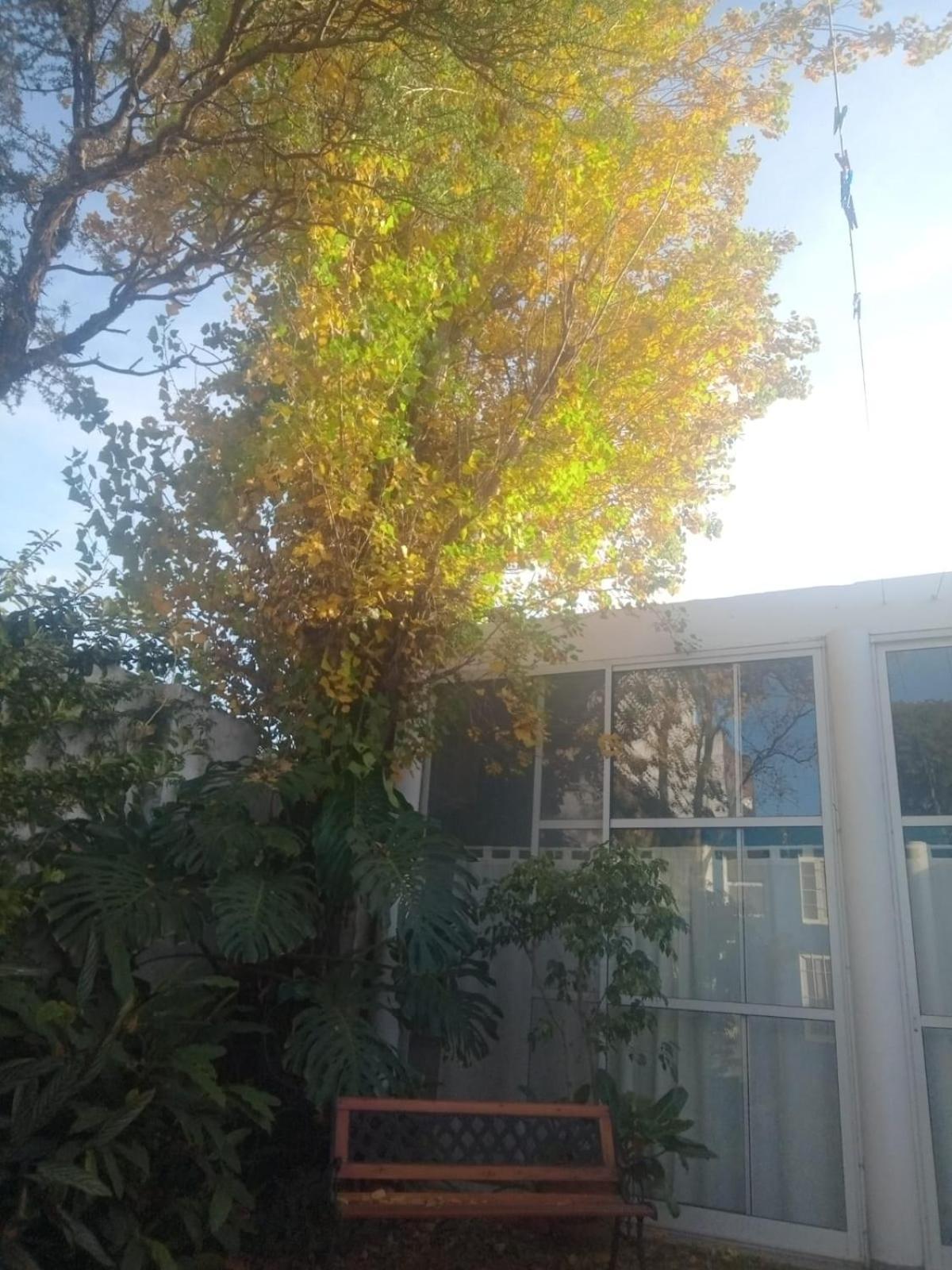 Raiz Del Cielo, Entre 2 Jardines De Ensueno Apartment Cordoba Bagian luar foto